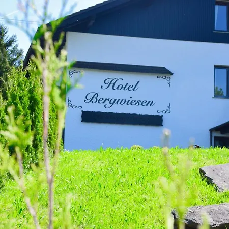 Hotel Bergwiesen - Zimmer mit Balkon oder Terasse-3